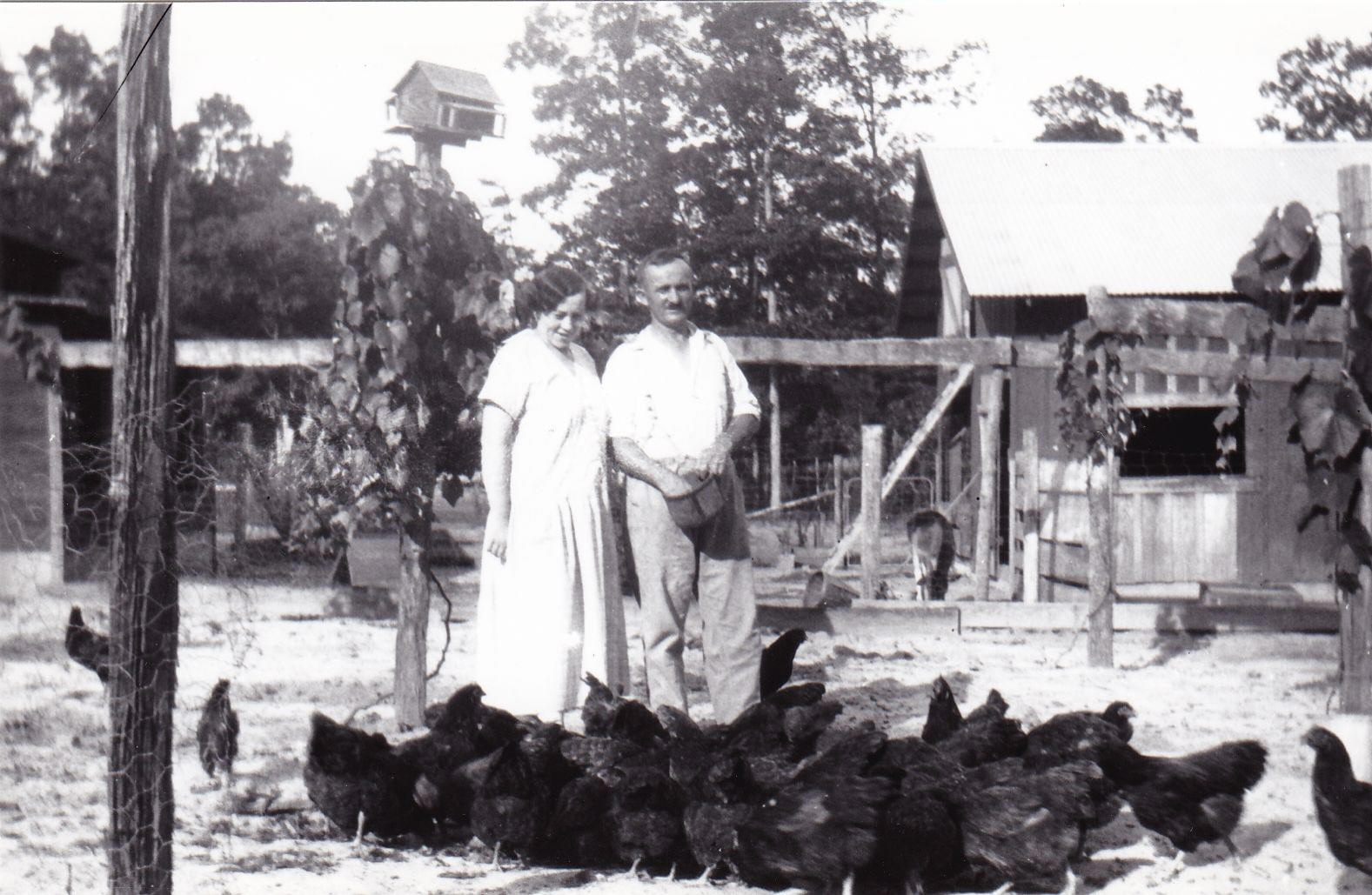 Musuem of the New Llano Colony
